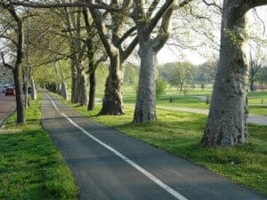 Forest Park cycling